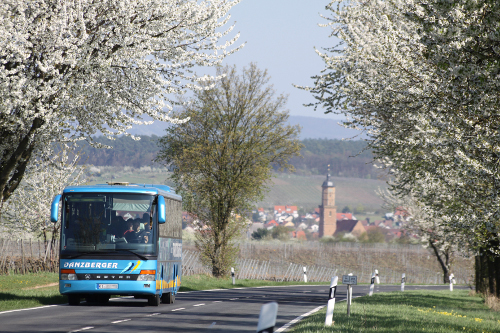 Mainschleifen-Freizeitbusse